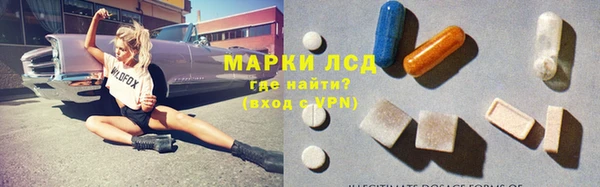 ГАЛЛЮЦИНОГЕННЫЕ ГРИБЫ Вязьма