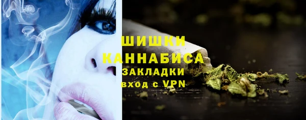 ГАЛЛЮЦИНОГЕННЫЕ ГРИБЫ Вязьма