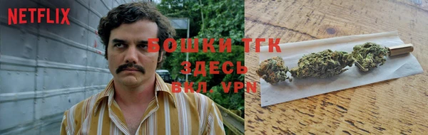 ГАЛЛЮЦИНОГЕННЫЕ ГРИБЫ Вязьма